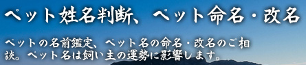 ペット姓名判断、ペット命名・改名