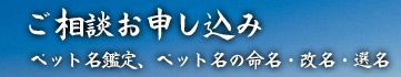 ご相談お申し込み（ペットの姓名判断）